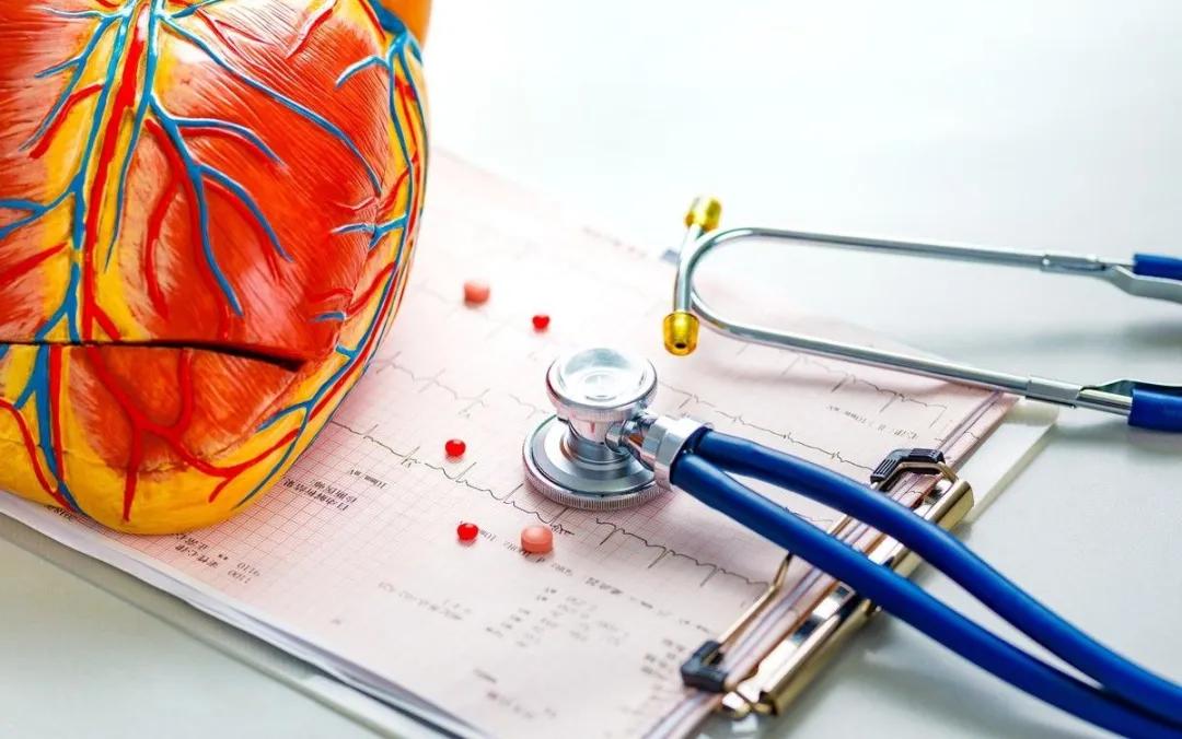 甲减和高血脂有关系,甲减高血脂症预防及治疗