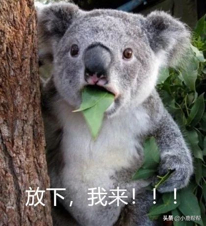 代吃代喝真的有用吗,代吃代喝火了吗