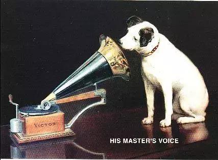 这家被全国黑胶发烧友热捧的宝店，老板原来是他