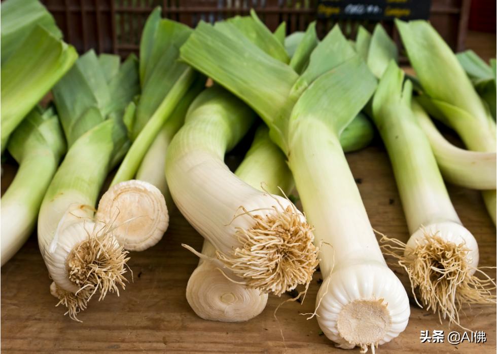 狗哪些食物不适合吃,不适合狗狗的食物