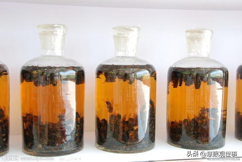 侯卫东官场笔记曲子,侯卫东官场杂记小说