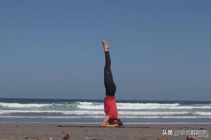 一整套瑜伽瘦身,瑜伽减脂塑形体式序列