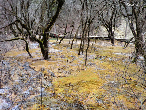 成都九寨沟几月份去好,九寨沟和稻城几月份去