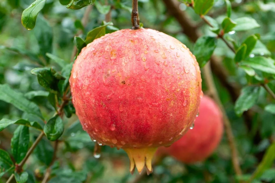 说秋道冬话永胜，气候多样人宜居