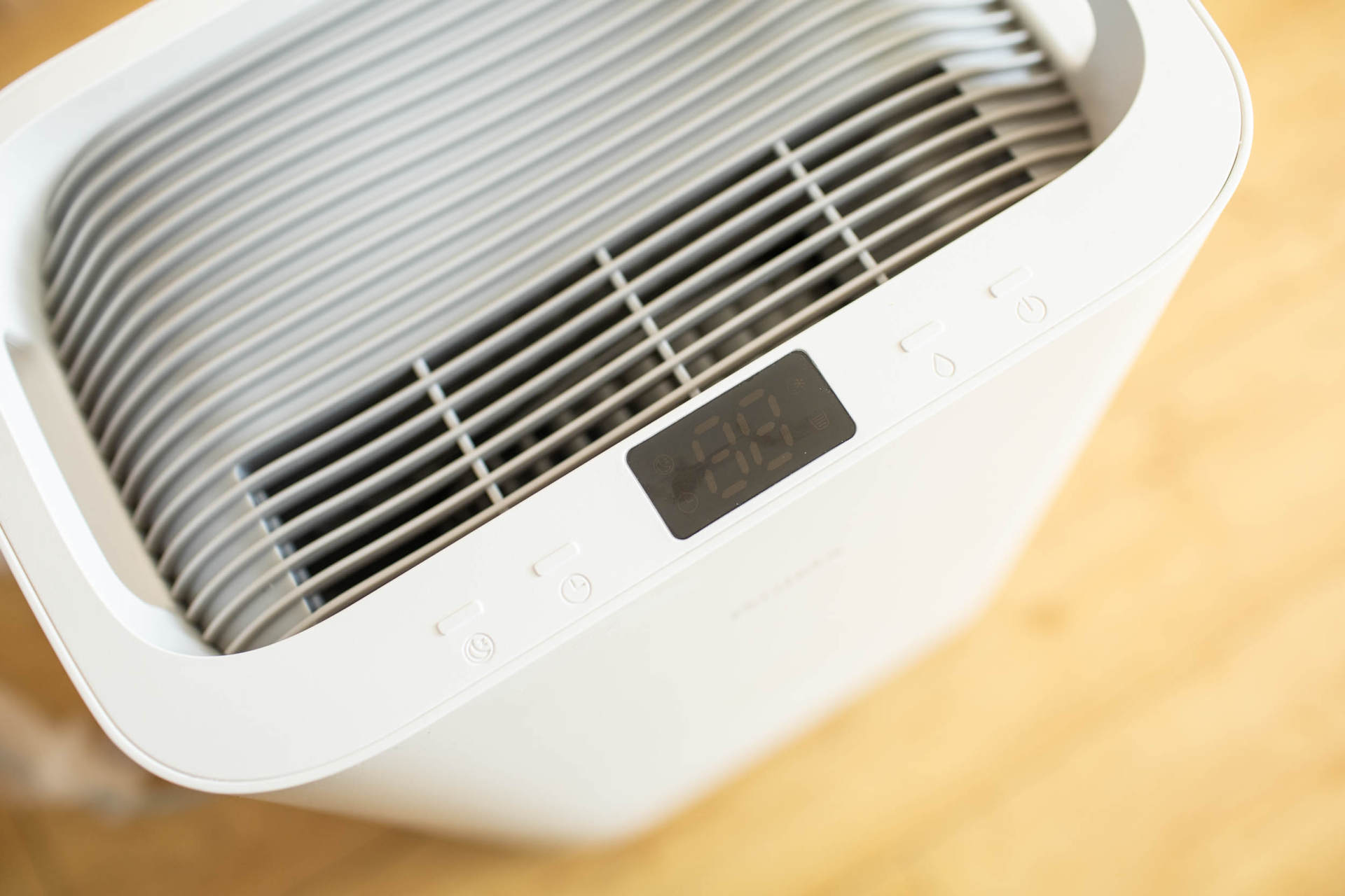 抵御南方湿冷的魔法攻击,小而强悍的伊岛*湿机除**