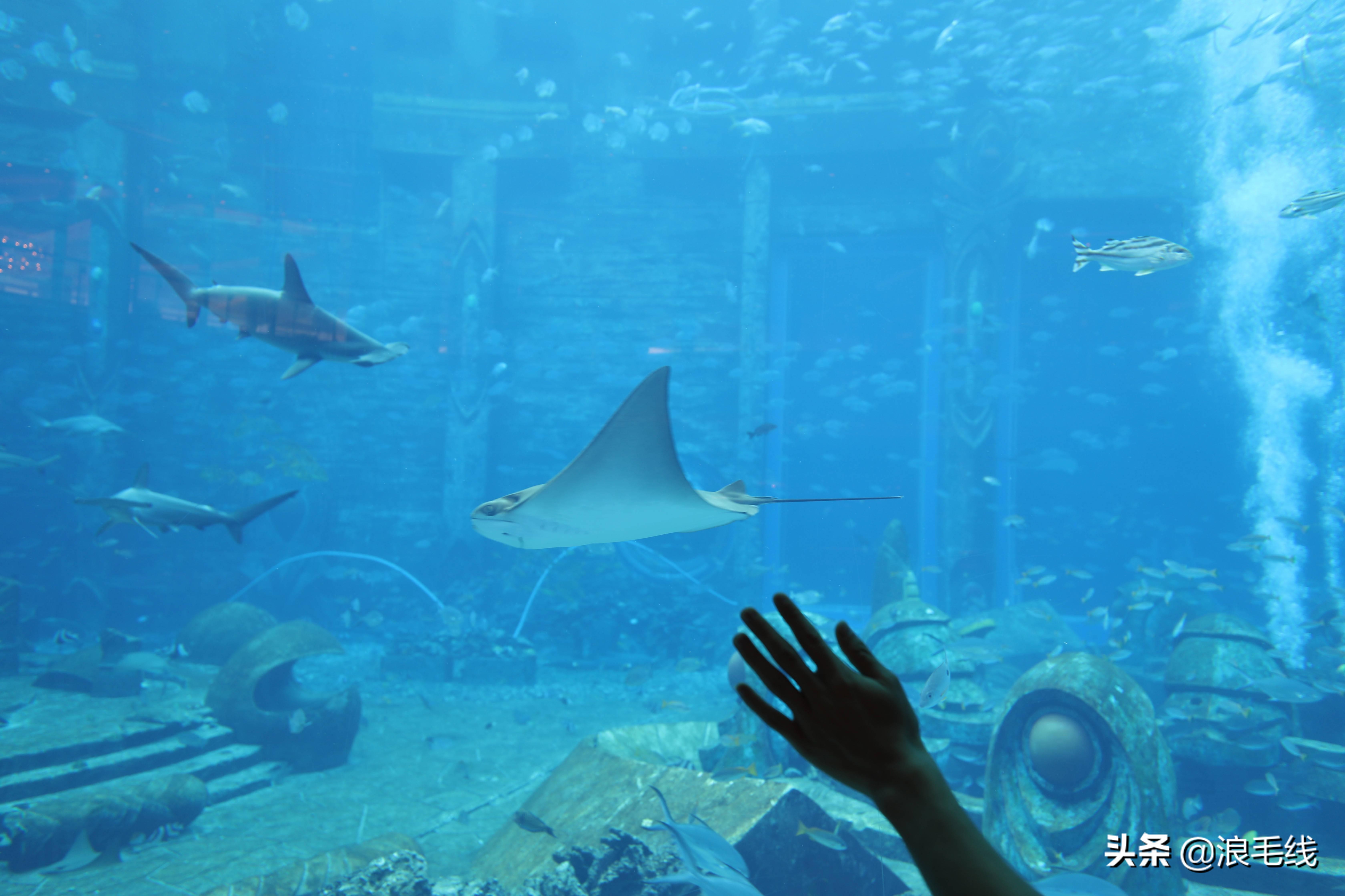 三亚海棠湾自由行热门攻略,那年夏天那片海简介