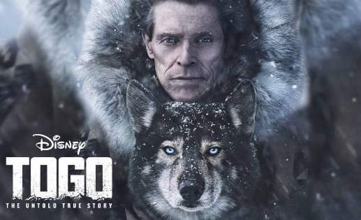 多哥电影讲的什么故事,电影多哥主要讲了什么