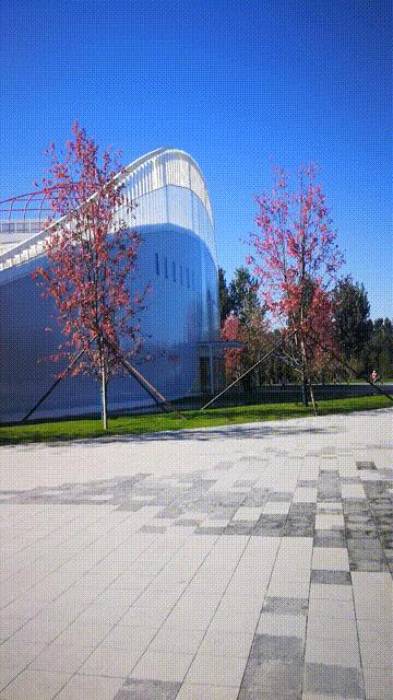 廊坊三叶公园项目信息,廊坊三叶公园附近