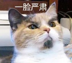 伯纳天纯猫粮有假的吗,伯纳天纯猫粮怎么辨别真假