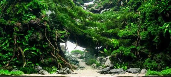 造景如何看起来有层次,十个最好看的造景