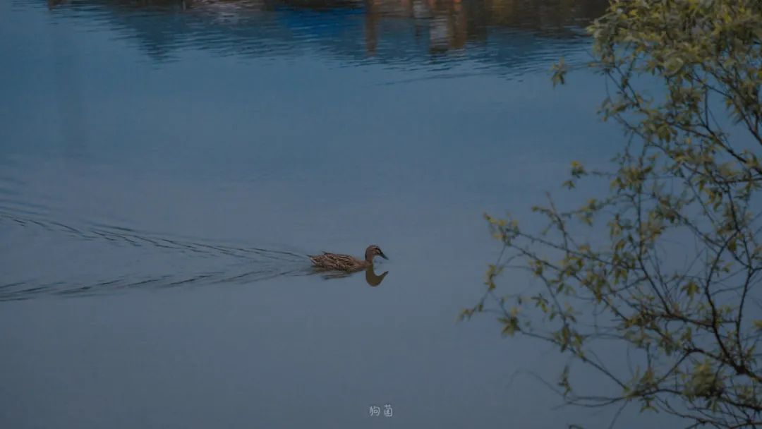 618购机攻略图文,618购机优惠攻略