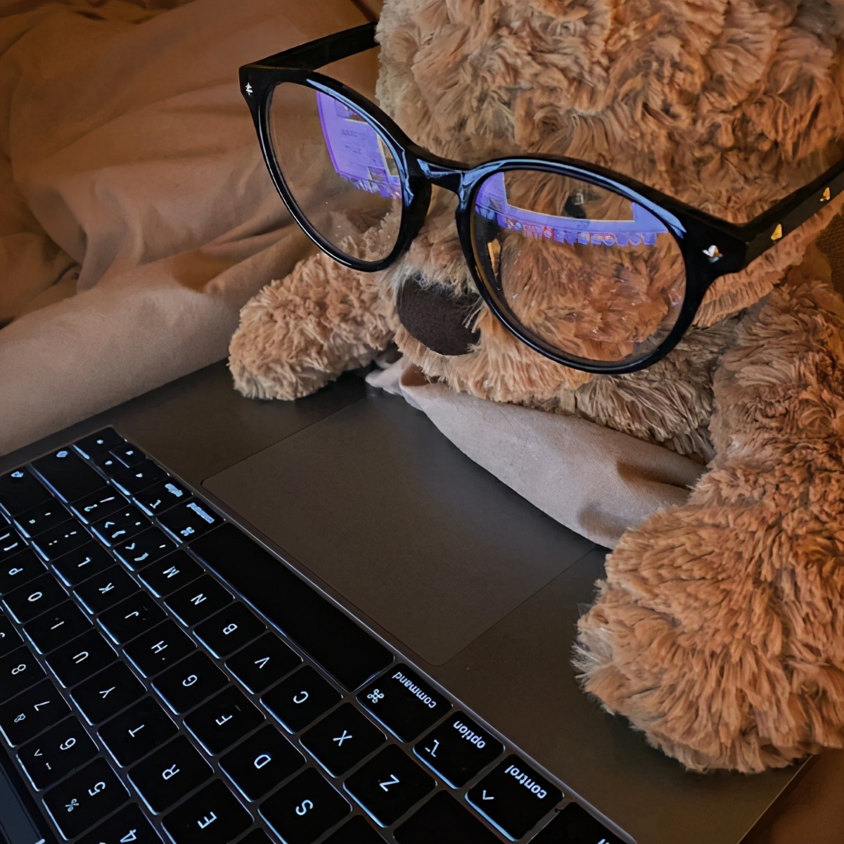 期末周｜学习*党**-换上最符合读书人心态的头像，萌宠辣妹表情包