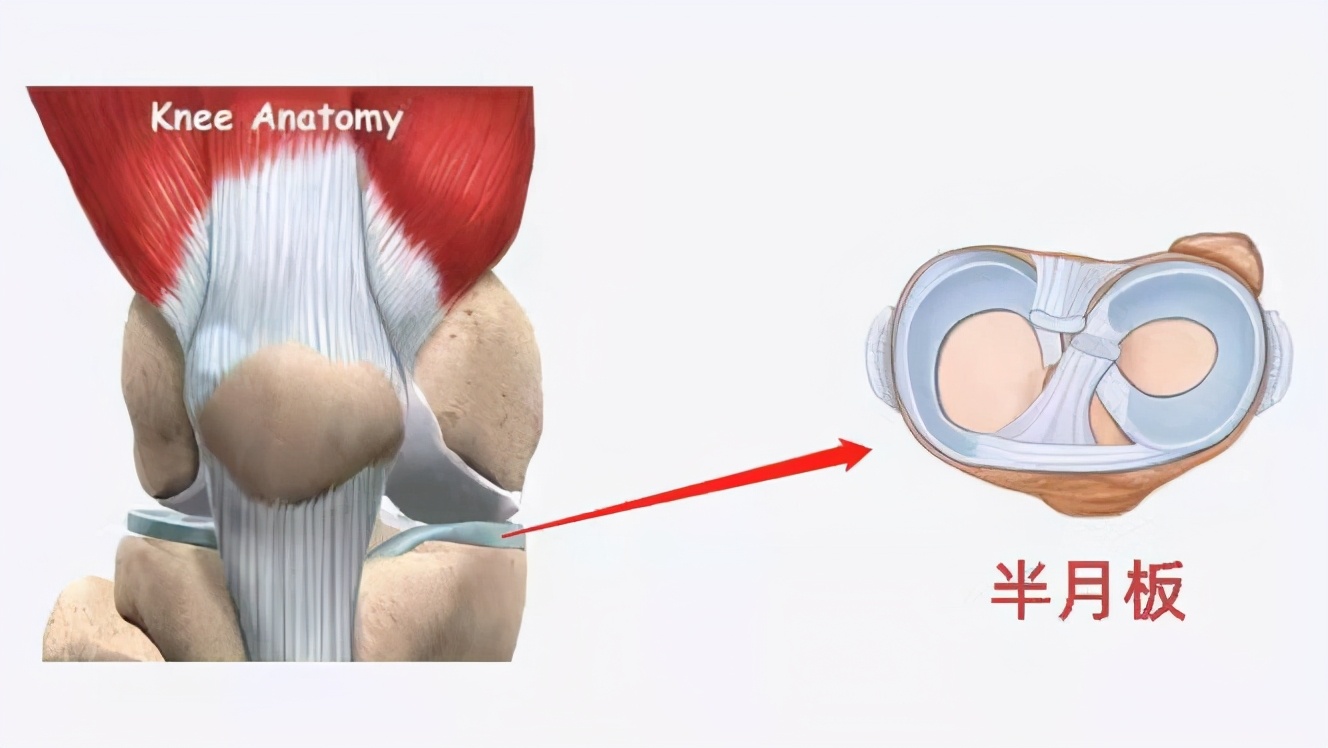 运动损伤骨科,实用骨科运动损伤临床诊断