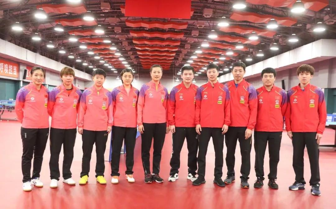 专“鼠”于你@春节观赛指南来咯