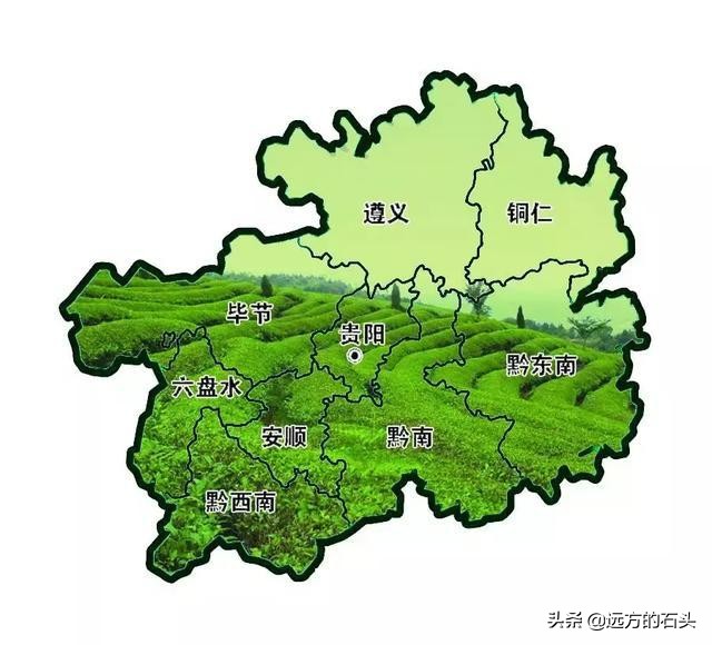 十大名茶贵州哪个茶上榜,贵州好喝的茶叶有哪些
