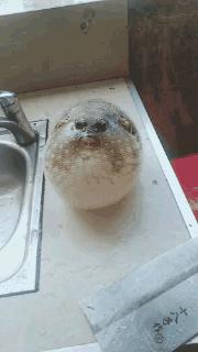 看了整整七分钟，他们最终还是上去了