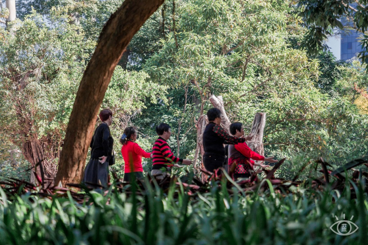 深圳十大顶级公园,深圳市十大风景公园排名