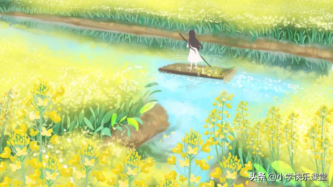 手绢上的花田读后感小学,手绢上的花田读后感好词好句