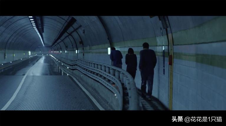 甚至不配拥有*生活性**？寄生只是为了“生”，并不都是虫