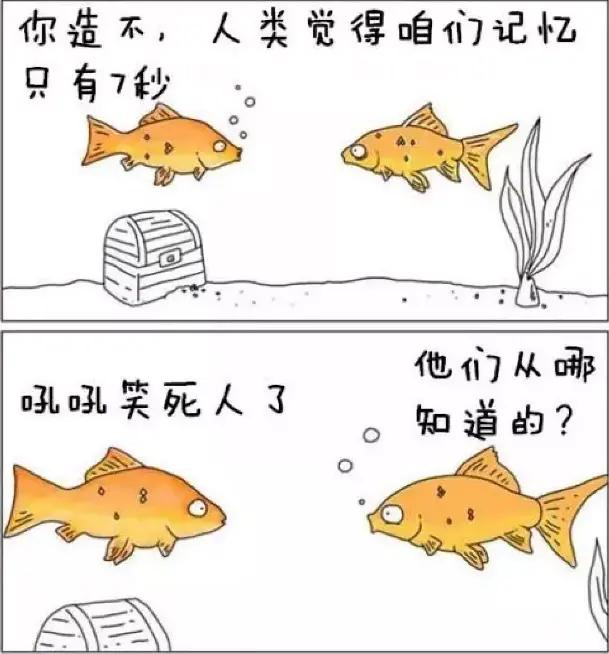 观赏鱼七秒记忆法,关于鱼的10条辟谣