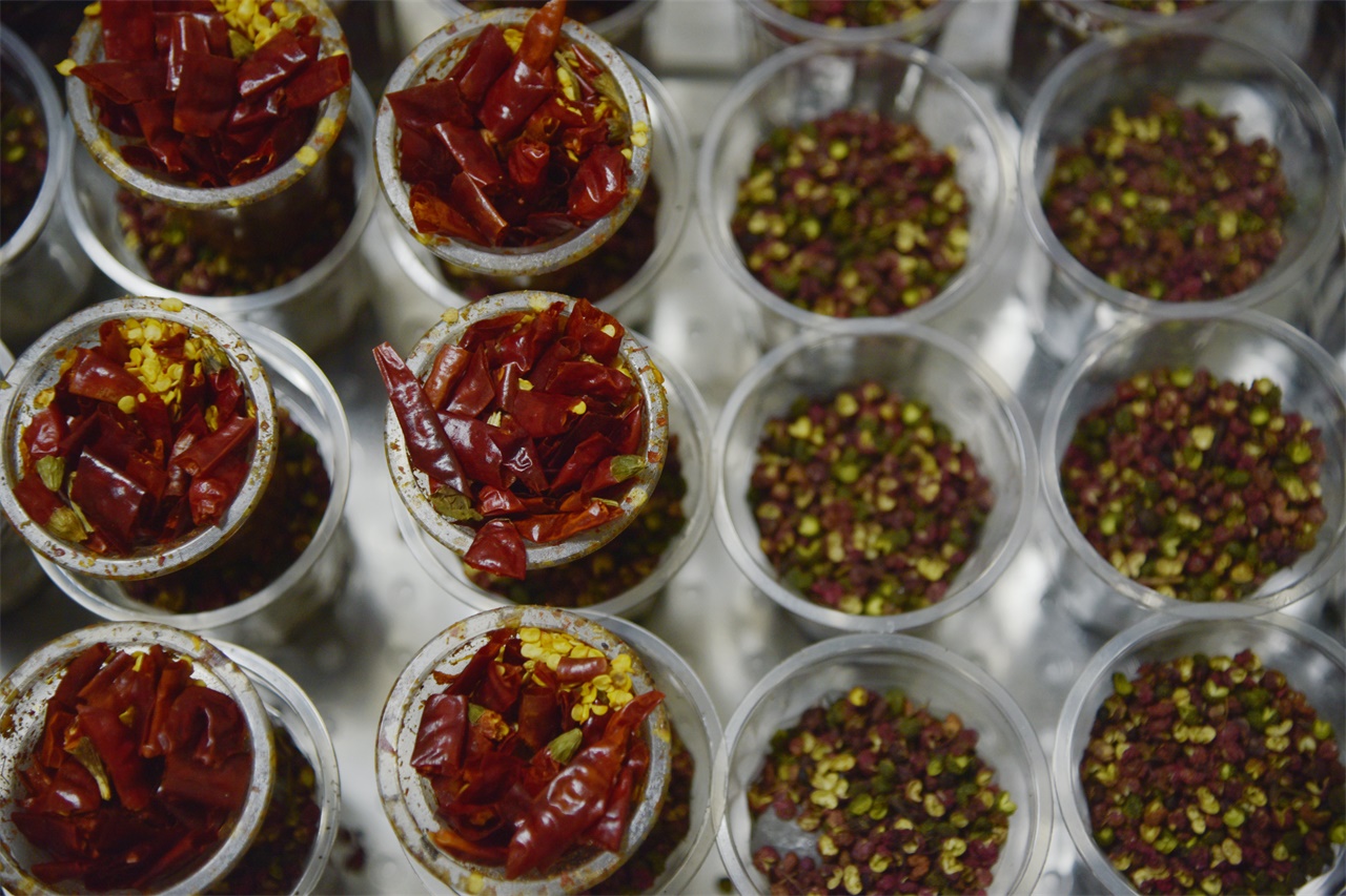 椒麻鸡开店创业,鹤壁豫哥麻椒鸡加盟要多少钱