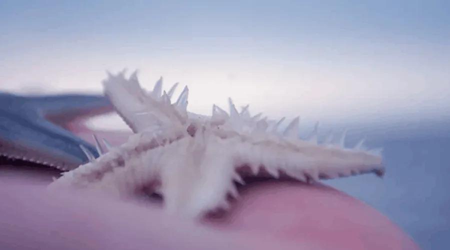 天蝎座与摩羯座为什么相爱相杀,天蝎座和摩羯座是相爱相杀吗