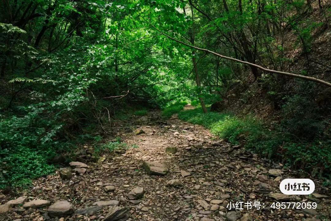 昆明避暑冷惨了外省人,昆明过冬真实感受