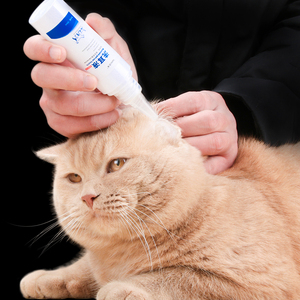 家中常备这些药猫咪生病不用慌,养猫咪家中常备的药