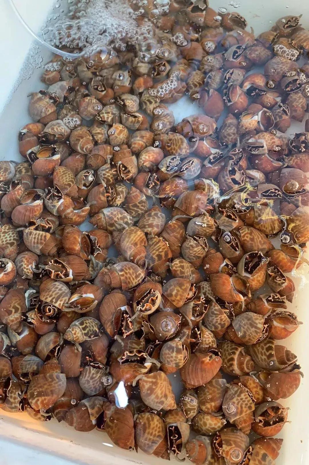 普吉岛自由行美食全攻略,普吉岛旅游攻略美食