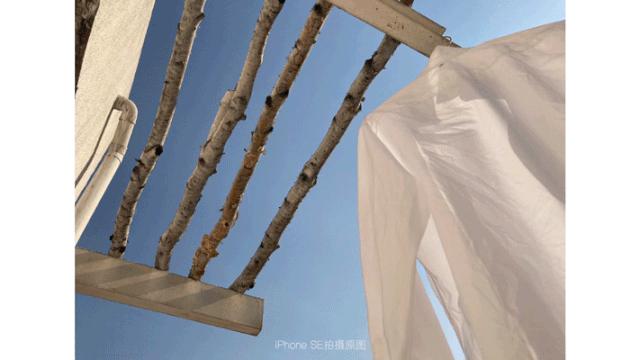 新款iphonese有啥优点,苹果se系列最值得入手的手机