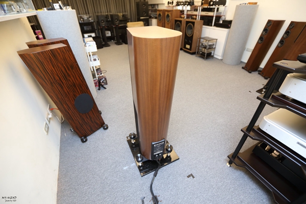 精准再进化,搭配胆机超迷人:德国飞星AudioPhysicVirgoIII