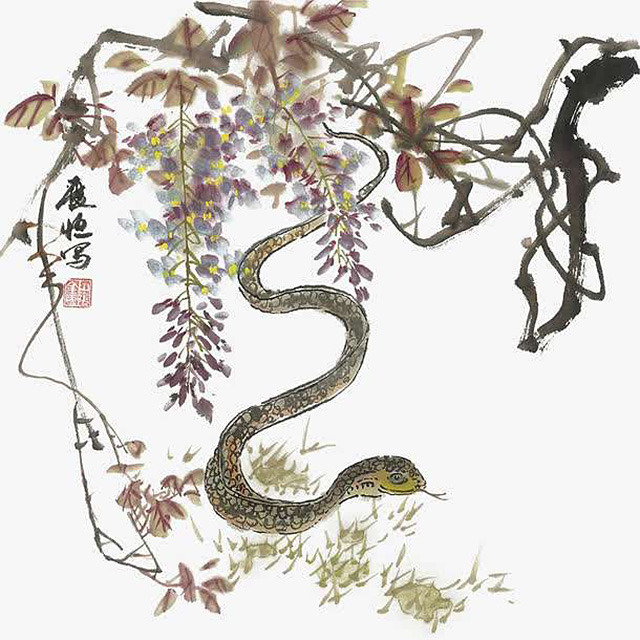 蛇为什么要三年后才报仇,蛇真的会报仇吗