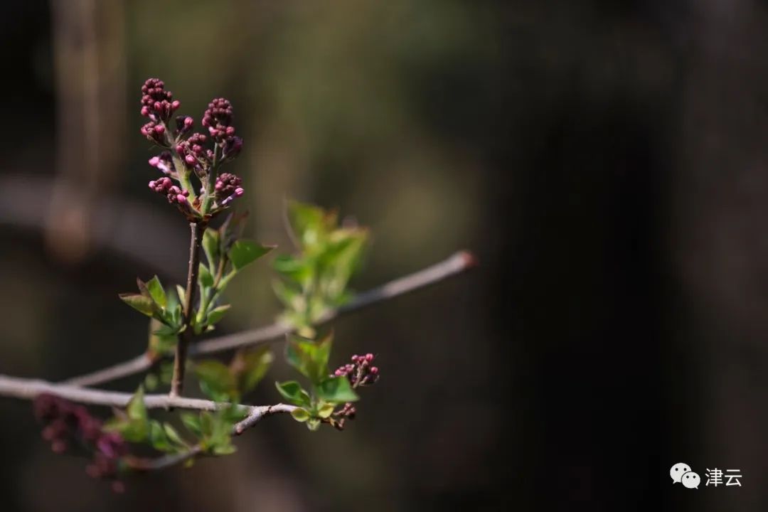 天津最近新开放的公园,天津东疆亲海公园2022年开放吗