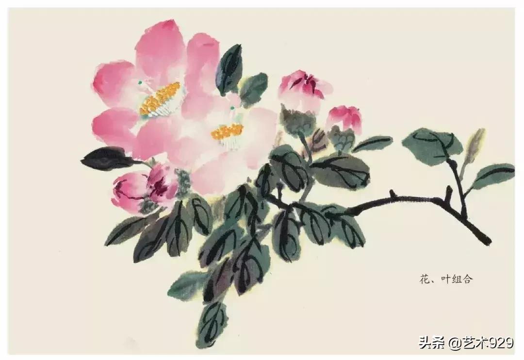 国画技法工笔花卉配色与花叶染法,国画欣赏精致的工笔彩色花卉