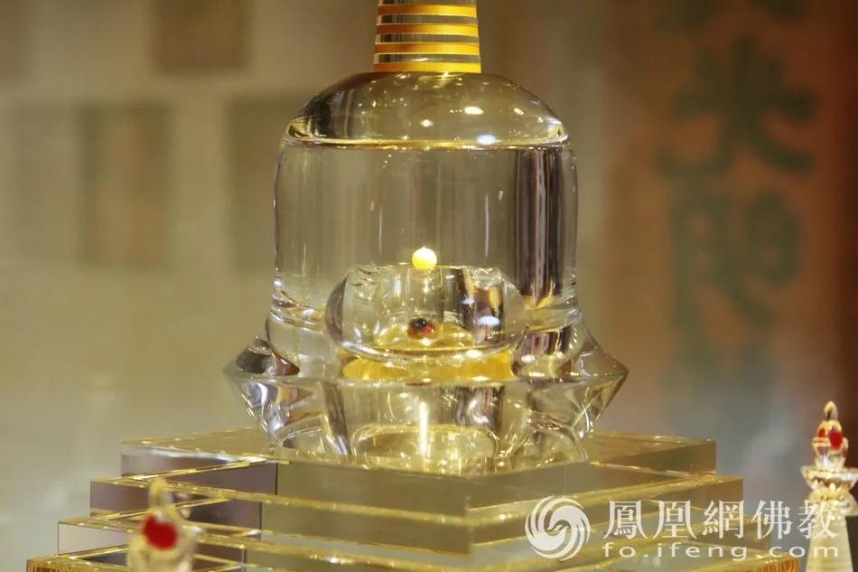 人造舍利子和高僧舍利有何区别,猞猁为什么会生小猞猁