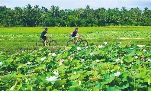 让你无法抗拒的海南究竟好在哪里,海南真正值得一看的地方