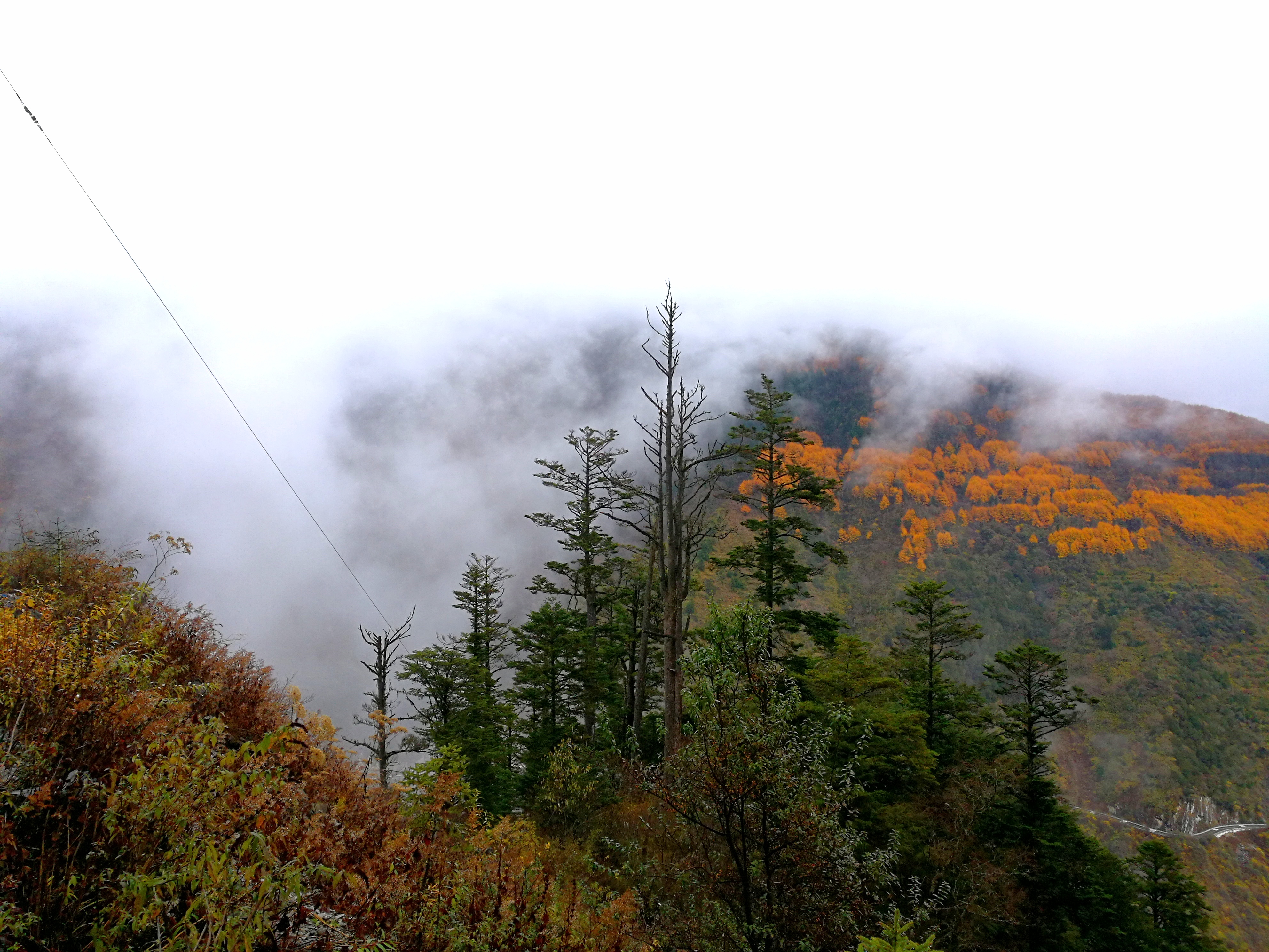 夹金山垭口云海,重峦叠嶂层峦叠嶂