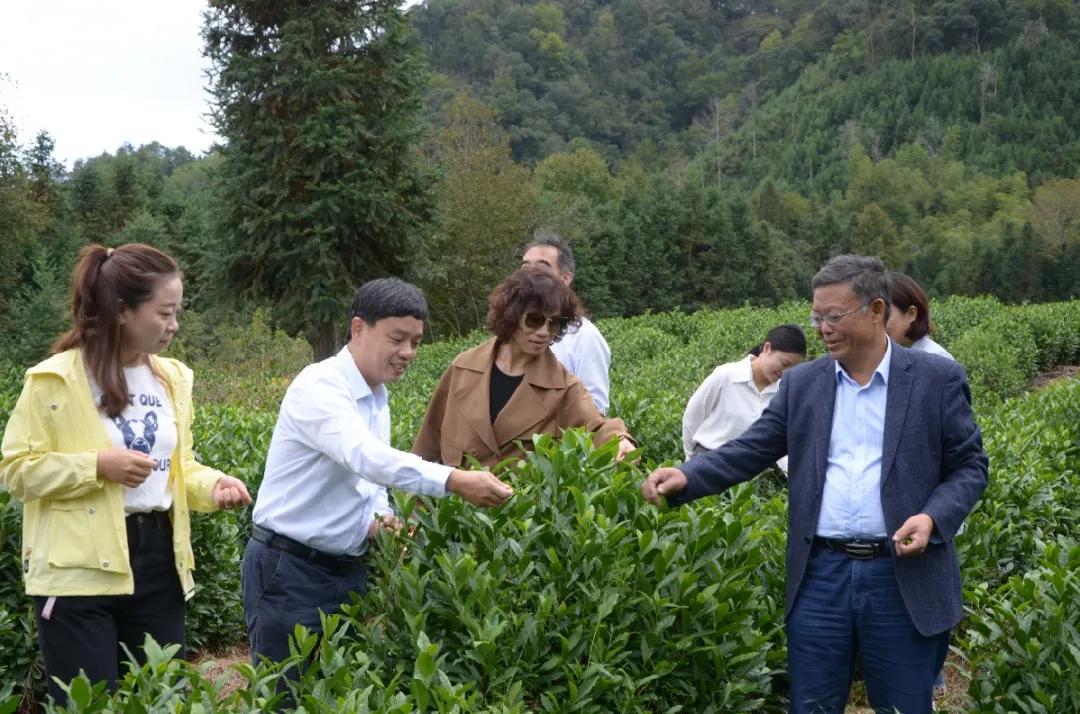 鐧捐儨涓浗瀹夊窘鍏徃,鐧捐儨涓浗瀹夊窘