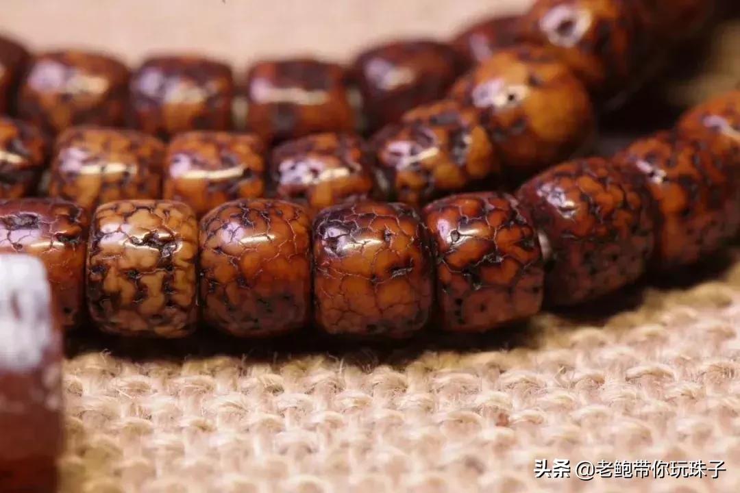 星月菩提咬手怎么办,菩提星月咬手