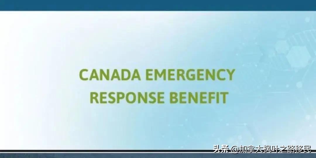 加拿大留学的各种疑问,加拿大关于留学生问题