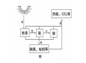 为了高收益，用电击，用药喷，一天几百斤，一年上万吨，值得吗？