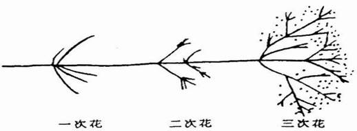 看火花识材料,看火花识别贵金属