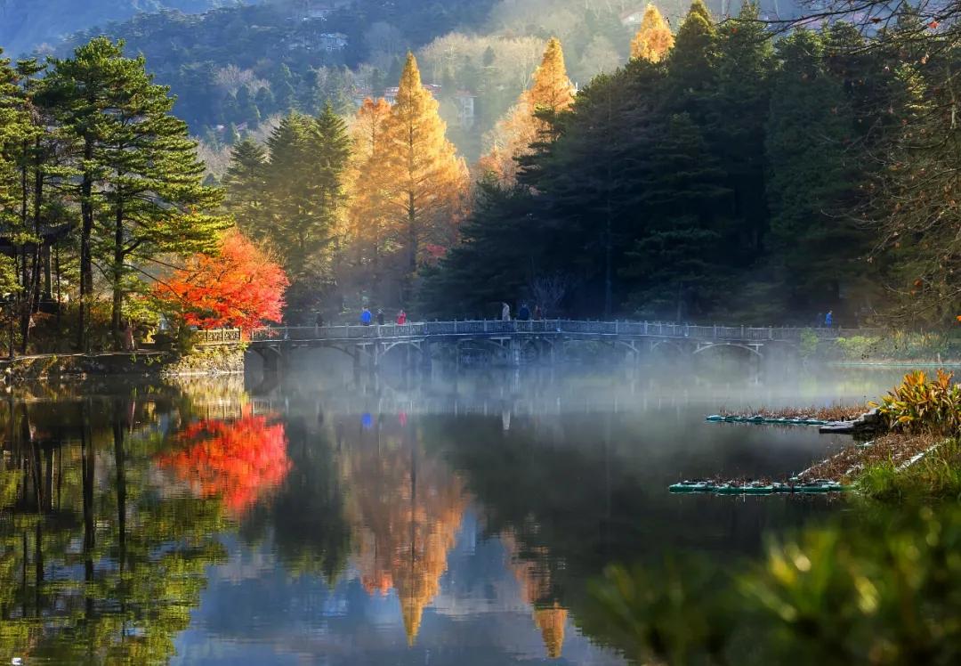 关注“江西发布”，畅游大美庐山！500张门票等你来拿！