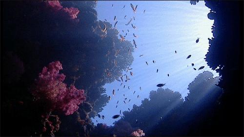 cheers在英语中怎么用,上厕所用经典词语怎么说