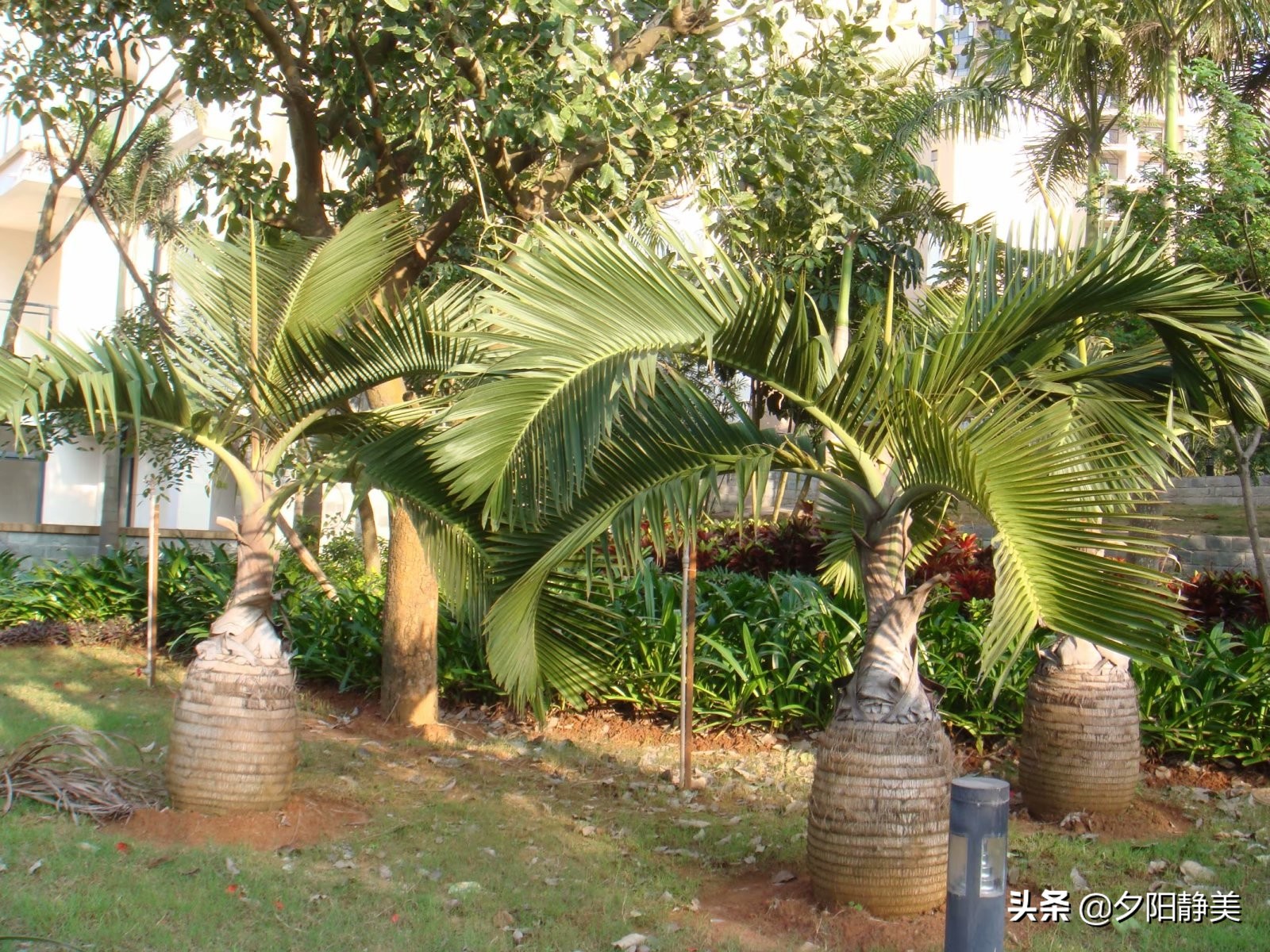 我的海南之旅全集,海南天赐上湾怎么样
