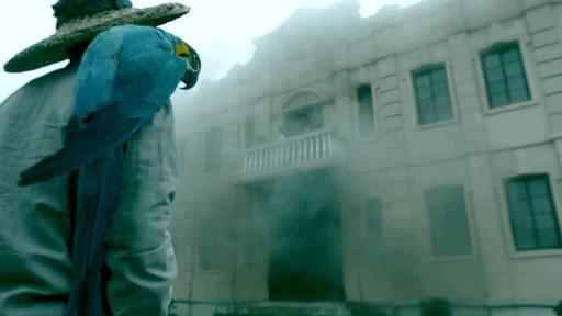 如果大火封住了出口怎么办,如果烟被堵住怎么办