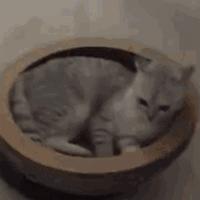 螨虫危害大日常如何除螨虫呢,儿童螨虫怎么防止复发