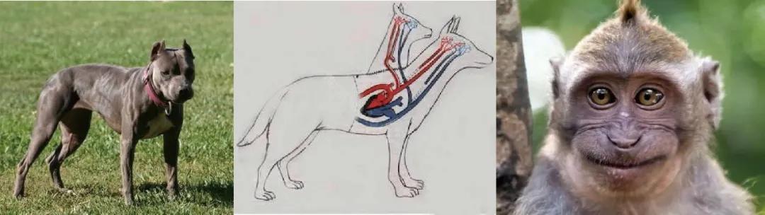 logo拟人化,拟人化商标设计logo