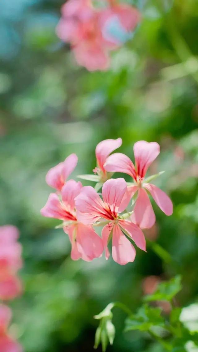 白岩松经典语录感悟人生哲理 (白岩松经典语录集锦好的变成坏的)