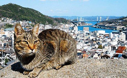 山阳县城附近旅游景点大全图,日本山阴地区旅游攻略